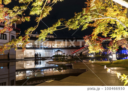 秋の日本三景松島　宮城県松島離宮 「紅葉＆ライトアップ2023」 宮城県松島町 108466930