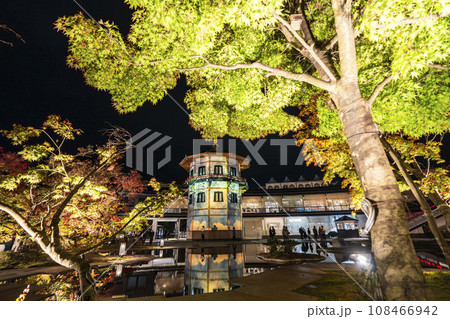 秋の日本三景松島　宮城県松島離宮 「紅葉＆ライトアップ2023」 宮城県松島町 108466942