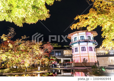 秋の日本三景松島　宮城県松島離宮 「紅葉＆ライトアップ2023」 宮城県松島町 108466944