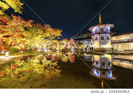 秋の日本三景松島 宮城県松島離宮 「紅葉&ライトアップ2023」 宮城県松島町 秋の日本三景松島 宮城県松島離宮 「紅葉&ライトアップ2023」 宮城県松島町 108466962