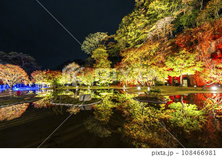 秋の日本三景松島 宮城県松島離宮 「紅葉&ライトアップ2023」 宮城県松島町 秋の日本三景松島 宮城県松島離宮 「紅葉&ライトアップ2023」 宮城県松島町 108466981