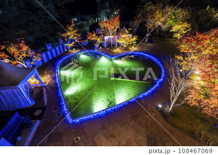 宮城県松島離宮 「紅葉＆ライトアップ2023」 宮城県松島町 108467069