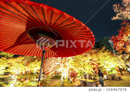 宮城県松島離宮 「紅葉＆ライトアップ2023」 宮城県松島町 108467076