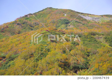 秋の栂池自然園 108467439