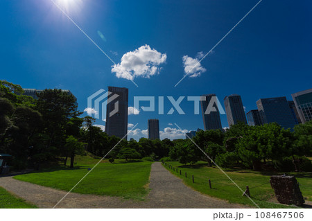 浜離宮恩賜庭園　2023年(夏) の風景 22 108467506