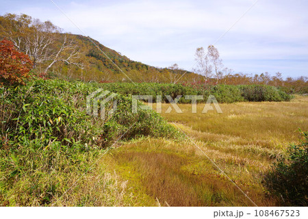 秋の栂池自然園 108467523