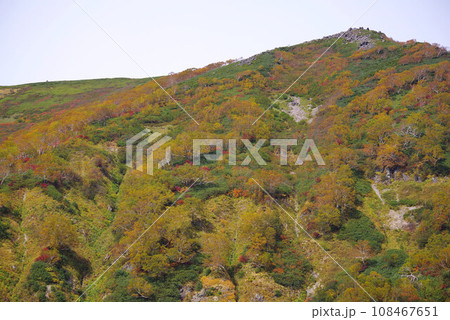 秋の栂池自然園 108467651