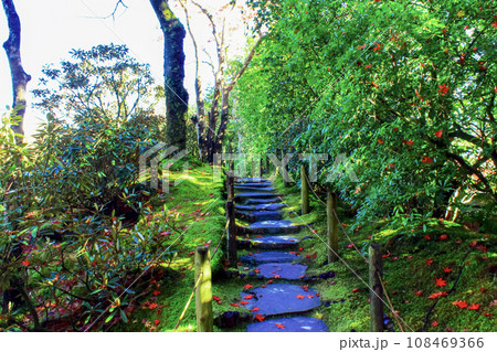 【栃木】秋の日光輪王寺 逍遥園の緑と紅葉のコントラスト 【栃木】秋の日光輪王寺 逍遥園の緑と紅葉のコントラスト 108469366