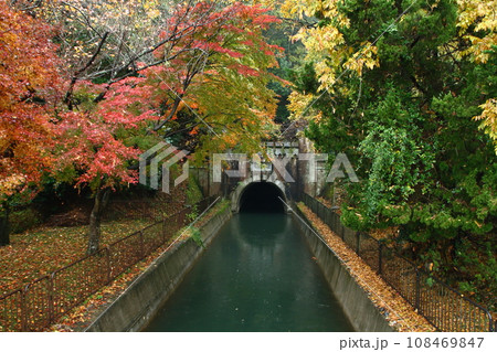 琵琶湖疎水の紅葉(琵琶湖疏水第3トンネル) 琵琶湖疎水の紅葉(琵琶湖疏水第3トンネル) 108469847