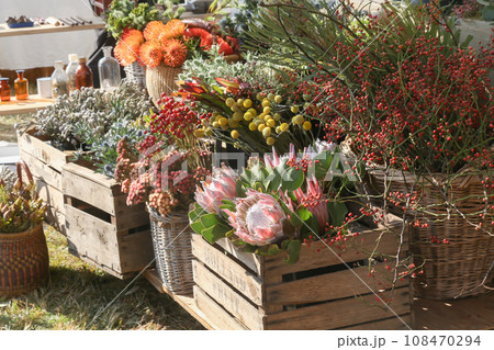 花屋に並んだワイルドフラワーの花たち ネイティブフラワー 花屋に並んだワイルドフラワーの花たち ネイティブフラワー 108470294