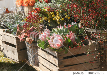 花屋に並んだワイルドフラワーの花たち ネイティブフラワー 花屋に並んだワイルドフラワーの花たち ネイティブフラワー 108470295