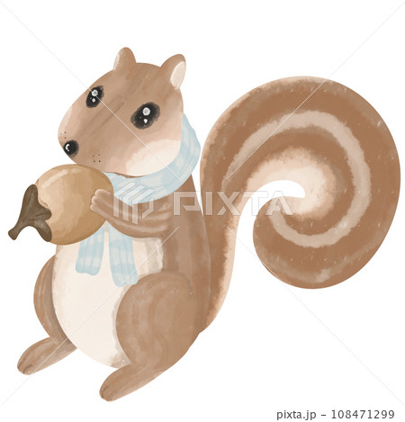 A brown squirrel holding a walnut is wearing a blue scarf because of the cold weather in winter. A brown squirrel holding a walnut is wearing a blue scarf because of the cold weather in winter. 108471299