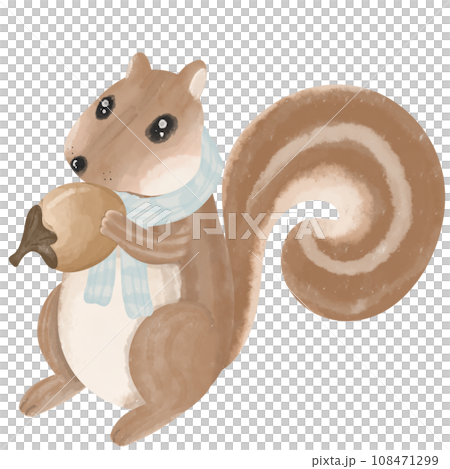A brown squirrel holding a walnut is wearing a blue scarf because of the cold weather in winter. 108471299