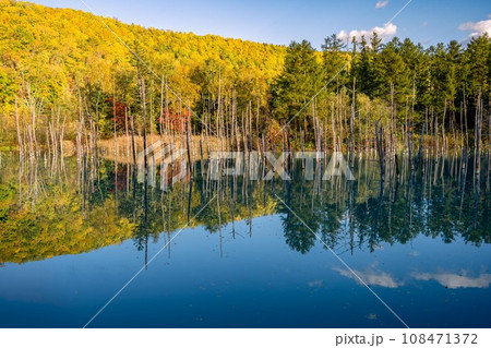 北海道　秋　青い池　十勝岳温泉　望岳台　しらひげの滝　白髭の滝　リフレクション　紅葉 108471372
