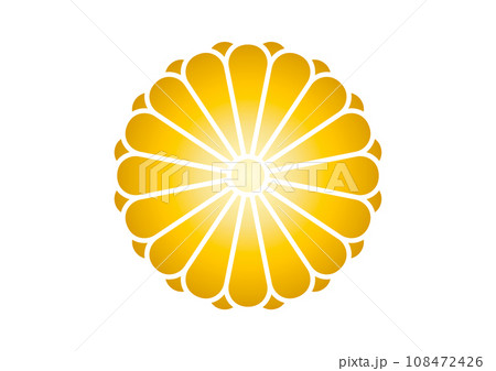 八重十六菊ゴールド 八重十六菊ゴールド 108472426