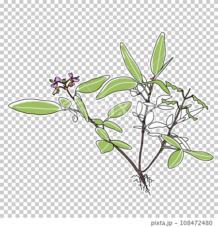 Illustration of a clinging insect 108472480