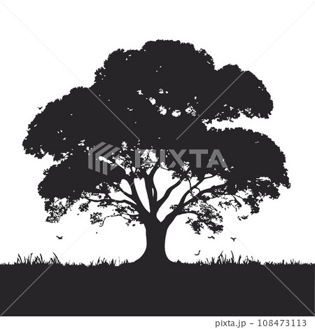 collection of big tree silhouettes in summer on isolated white background collection of big tree silhouettes in summer on isolated white background 108473113
