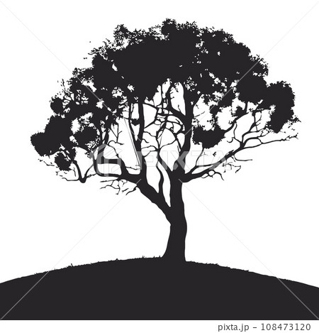 collection of big tree silhouettes in summer on isolated white background 108473120