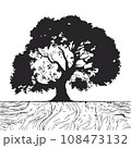 collection of big tree silhouettes in summer on isolated white background 108473132
