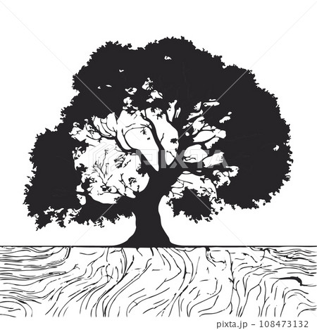 collection of big tree silhouettes in summer on isolated white background 108473132