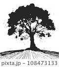 collection of big tree silhouettes in summer on isolated white background 108473133
