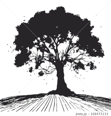 collection of big tree silhouettes in summer on isolated white background collection of big tree silhouettes in summer on isolated white background 108473133