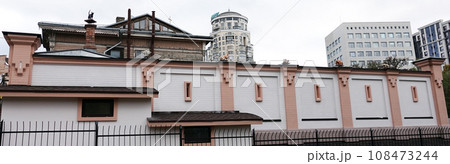 Kiev, Ukraine October 24, 2020: House with sculptures of cats and cats on the fence 108473244