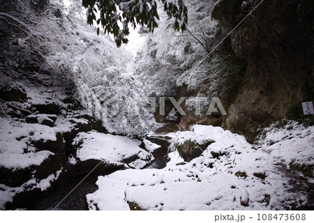宇佐市（安心院町）　東椎屋の滝　雪景色 108473608