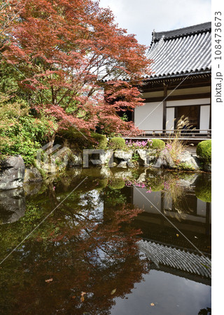 薬師堂 庭園 善峯寺 薬師堂 庭園 善峯寺 108473673