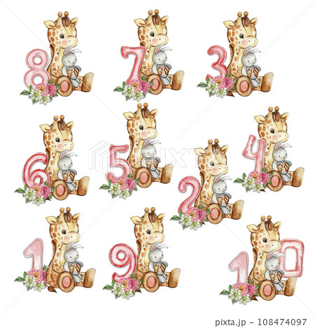 Watercolor hand drawn small baby giraffe with dahlia flowers and numbers composition. African baby animal for baby shower party design, birthday, cake, kids room decorations, poster, fabric. Watercolor hand drawn small baby giraffe with dahlia flowers and numbers composition. African baby animal for baby shower party design, birthday, cake, kids room decorations, poster, fabric. 108474097