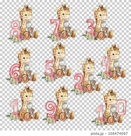 Watercolor hand drawn small baby giraffe with dahlia flowers and numbers composition. African baby animal for baby shower party design, birthday, cake, kids room decorations, poster, fabric. Watercolor hand drawn small baby giraffe with dahlia flowers and numbers composition. African baby animal for baby shower party design, birthday, cake, kids room decorations, poster, fabric. 108474097