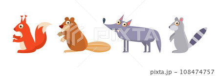 Forest Animals with Squirrel, Beaver, Wolf and Rodent Vector Set 108474757