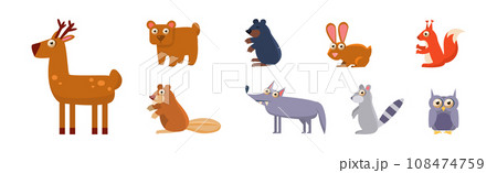 Forest Animals with Bear, Deer, Beaver, Bunny, Squirrel and Wolf Vector Set Forest Animals with Bear, Deer, Beaver, Bunny, Squirrel and Wolf Vector Set 108474759