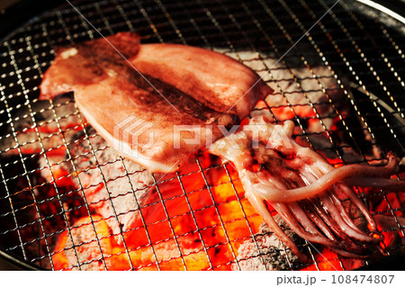 スルメイカの一夜干し 108474807