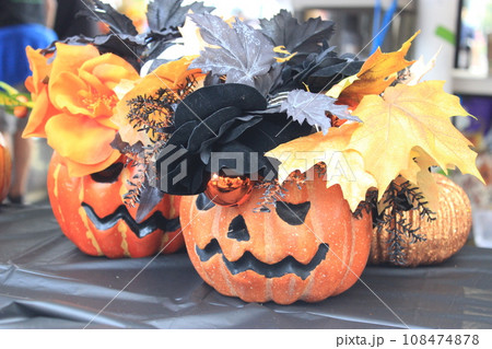 【アメリカ】秋のイベント、ハロウィン　パンプキンパッチに行こう！ 108474878