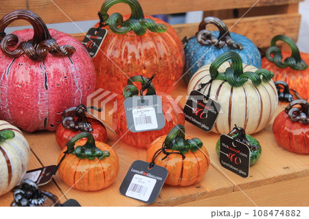 【アメリカ】秋のイベント、ハロウィン　パンプキンパッチに行こう！ 108474882