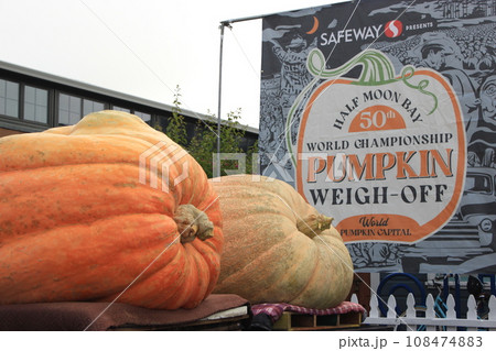 【アメリカ】秋のイベント、ハロウィン　パンプキンパッチに行こう！ 108474883
