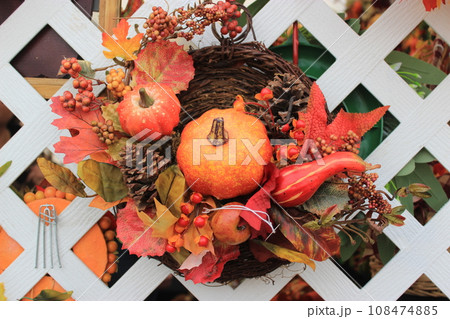 【アメリカ】秋のイベント、ハロウィン　パンプキンパッチに行こう！ 108474885