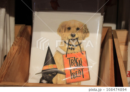 【アメリカ】秋のイベント、ハロウィン パンプキンパッチに行こう! 【アメリカ】秋のイベント、ハロウィン パンプキンパッチに行こう! 108474894