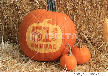 【アメリカ】秋のイベント、ハロウィン パンプキンパッチに行こう! 【アメリカ】秋のイベント、ハロウィン パンプキンパッチに行こう! 108474902