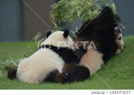 良浜ママからおっぱいをもらう優浜 108475637