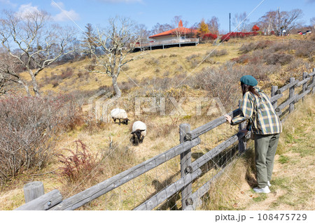 赤城白樺牧場 群馬県 赤城白樺牧場 群馬県 108475729