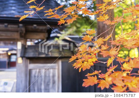 秋の角館武家屋敷通り（河原田家）紅葉の風景　秋田県仙北市 108475787
