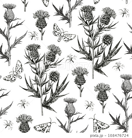 Seamless pattern with thistle flowers and buds. Ink hand-drawn detailed illustration. Vector graphic. 108476724