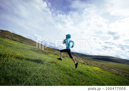 Woman trail runner cross country running at high altitude flowering mountain 108477008