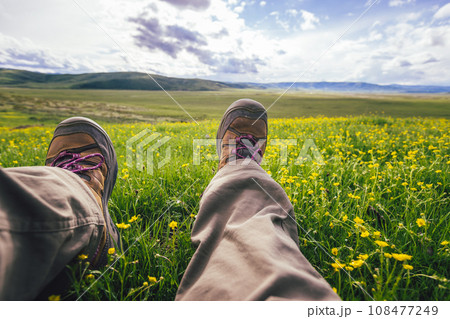 Woman hiker standing on summer high altitude flowering grassland 108477249