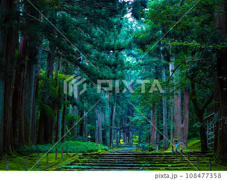平泉寺白山神社　福井県勝山市 108477358