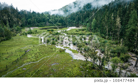 Beautiful pine tree forest and lake landscape China 108477484