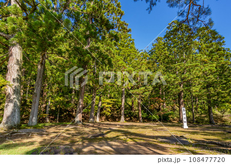 毛越寺　嘉祥寺跡　日本庭園史上特に貴重な平安時代の浄土庭園遺構　世界遺産　国の特別史跡・特別名勝 108477720