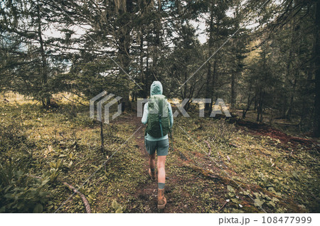Hiking woman walking in high altitude forest Hiking woman walking in high altitude forest 108477999